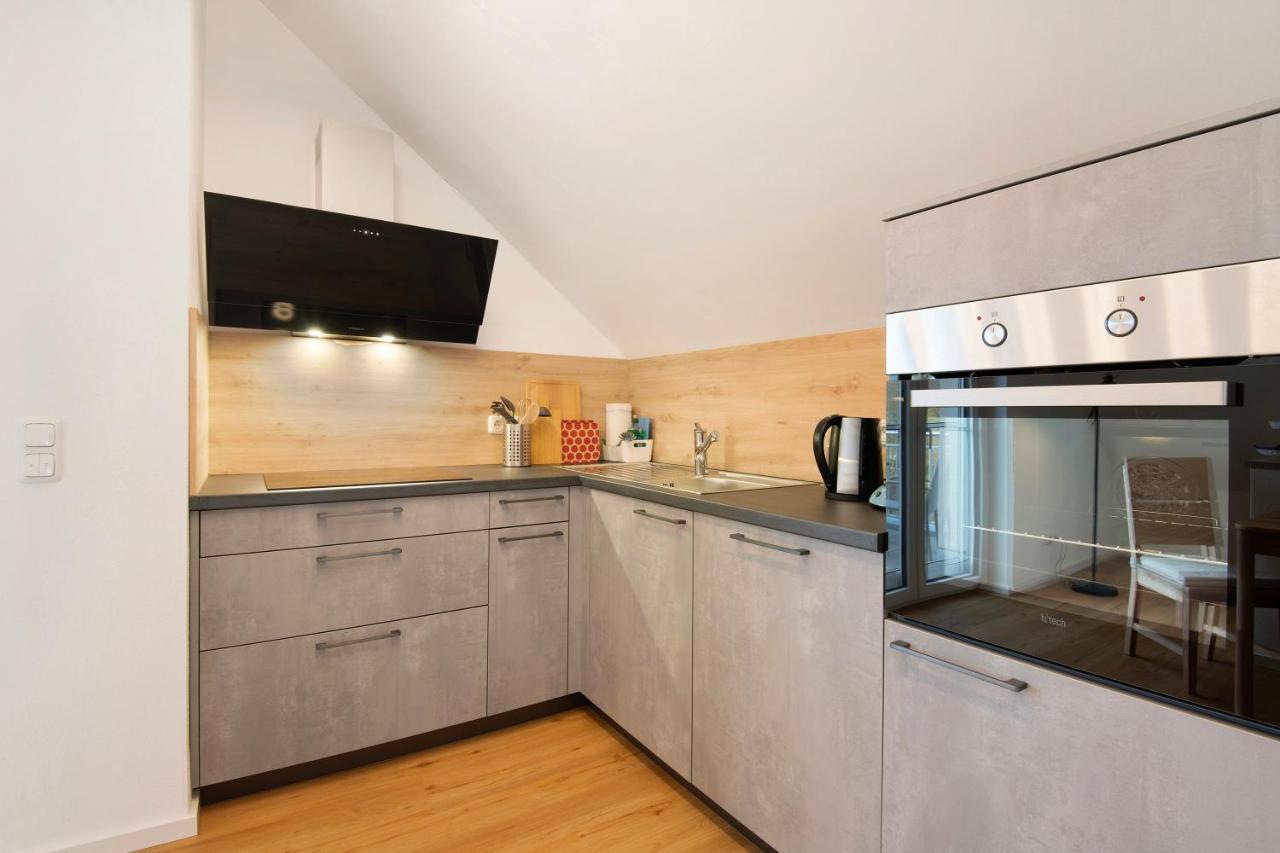 Apartment Dachstudio Am Donau Rad Weg Tegernheim
